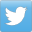 Condividi su Twitter twitter