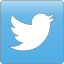 Condividi su Twitter twitter