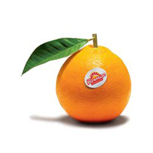 Nutrizione: Caratteristiche nutrizionali arance rosse di sicilia