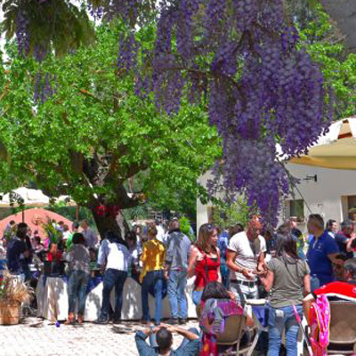 Festa pensionamento sicilia al Casale di Emma, un'oasi al centro della Sicilia