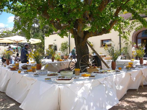 festa pensionamento sicilia - Gelso bianco secolare - Il Casale di Emma