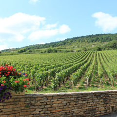 Premio vini Sicilia 2010 - degustazione vini