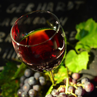 VANG - Vini autoctoni native grapes